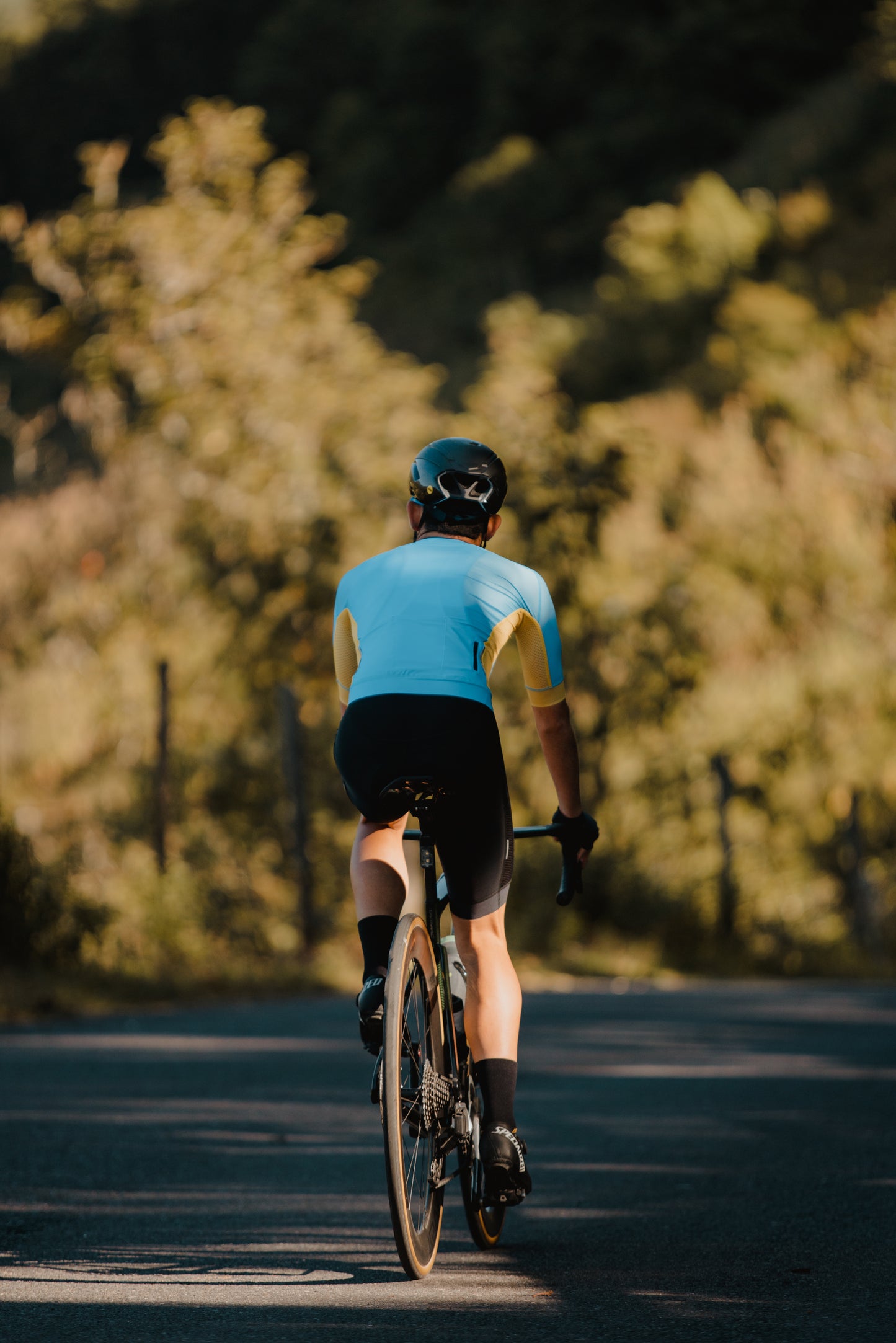 Jersey Prest Azul/Amarillo C