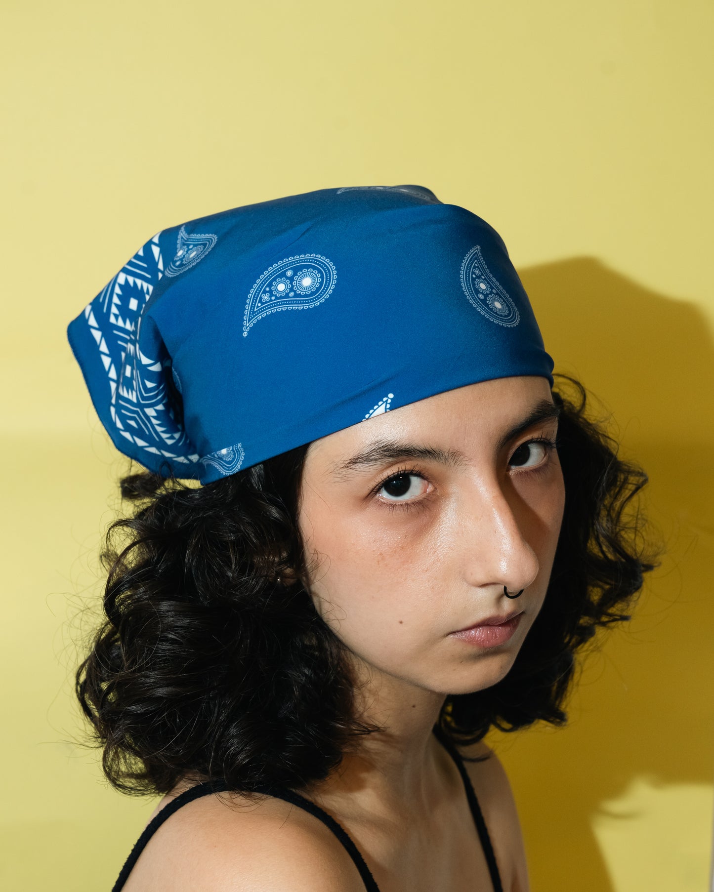 Paliacate Azul