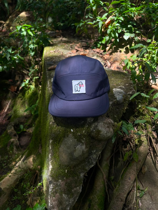 Gorra 5 Paneles Navy